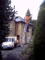 Tree Surgery Cornwall
